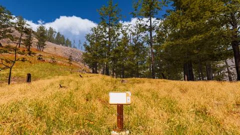 Natural landscape with technological elements of the future 3d render Stock Illustration