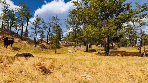 Natural landscape with technological elements of the future 3d render Stock Illustration