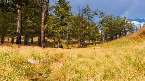 Natural landscape with technological elements of the future 3d render Stock Illustration