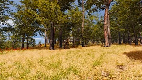 Natural landscape with technological elements of the future 3d render Stock Illustration