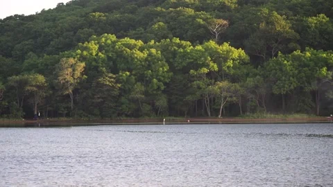 Natural landscape with a view of the beach with trees. Stock Footage 137492973