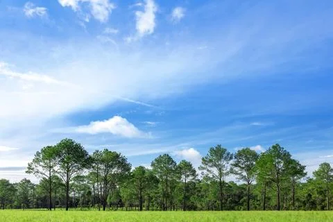 Natural landscape view Stock Photos