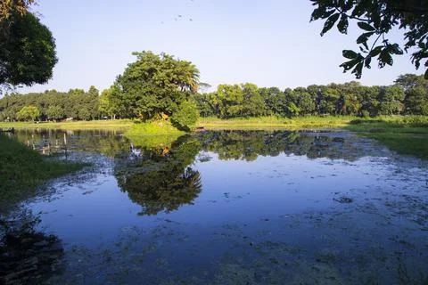 Natural landscape view Reflection of trees in the lake water against blue sky Stock Photos