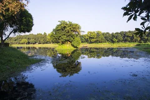 Natural landscape view Reflection of trees in the lake water against blue sky Stock Photos