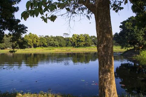 Natural landscape view Reflection of trees in the lake water against blue sky Foto stock