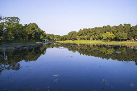 Natural landscape view Reflection of trees in the lake water against blue sky Stock Photos