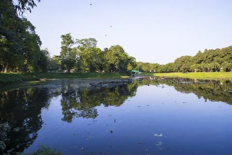 Natural landscape view Reflection of trees in the lake water against blue sky Foto stock