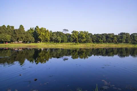 Natural landscape view Reflection of trees in the lake water against blue sky Stock Photos