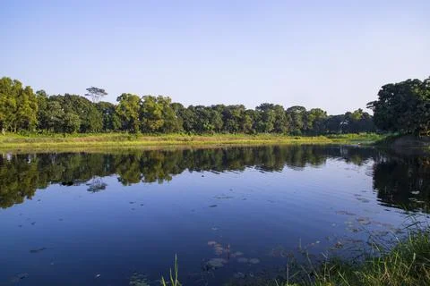 Natural landscape view Reflection of trees in the lake water against blue sky Stock Photos