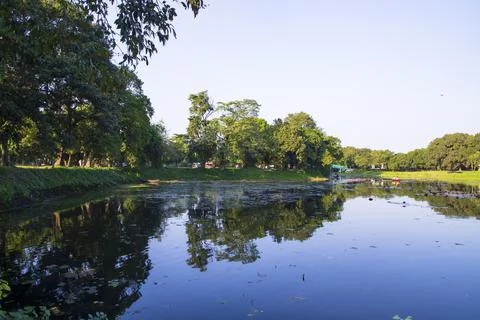 Natural landscape view Reflection of trees in the lake water against blue sky Stock Photos