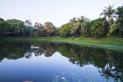 Natural landscape view Reflection of trees in the lake water against blue sky Stock Photos