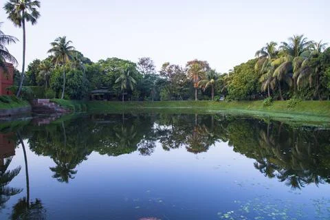 Natural landscape view Reflection of trees in the lake water against blue sky Foto stock