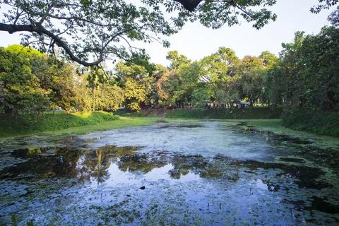 Natural landscape view Reflection of trees in the lake water against blue sky Stock Photos