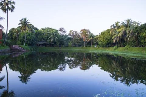 Natural landscape view Reflection of trees in the lake water against blue sky Stock Photos