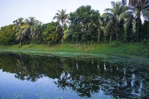 Natural landscape view Reflection of trees in the lake water against blue sky Stock Photos