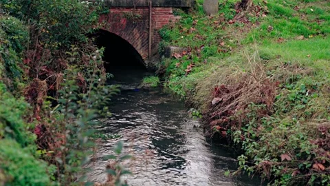 Natural landscape of a water stream Stock Footage 296024360
