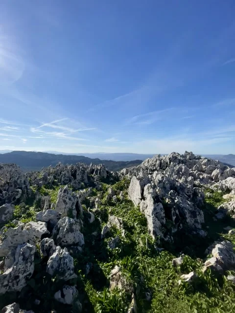 Natural landscapes Stock Footage 325767822