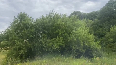 Natural landscapes from the train window 库存影片 202632206