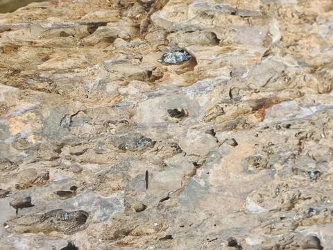 Natural Layered Rock Texture Surface With Geological Patterns Stock Photos