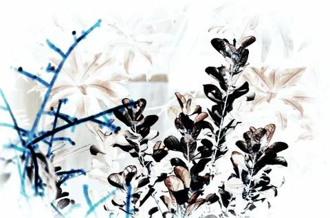 Natural leaf background for text used Stock Photos