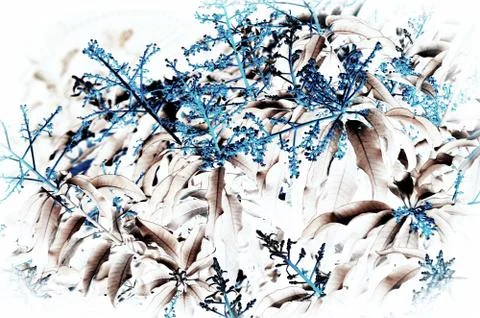 Natural leaf background for text used Stock Photos