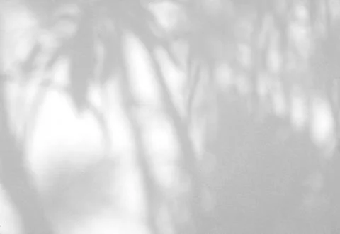 Natural leaf shadow on cement wall background Stock Photos