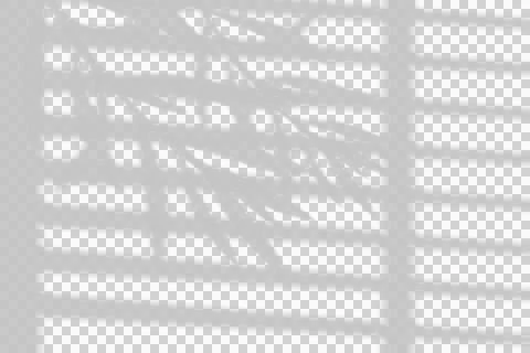 Natural leaf shadow overlay with window blind lines on white background Stock Illustration