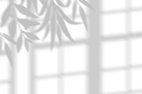 A natural leaf shadow overlay with window frame grid lines. Illustrazione stock
