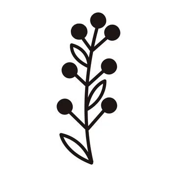 Natural leaf sketch icon Vector Stock Illustration