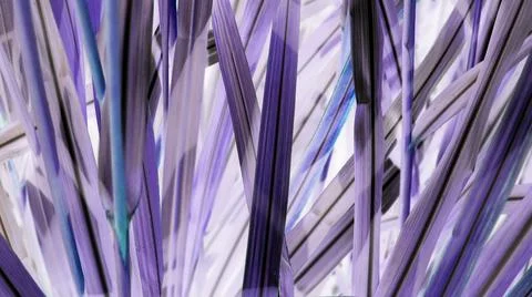 Natural Leaf Texture Background. Closeup of Green Plant Leaf Surface. Top View Stock Photos