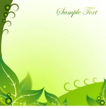 Natural leaf with water drop Stock Illustration