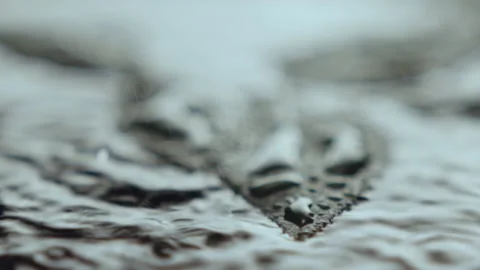 Natural leaves float and saturated by drops of water Stock Footage 231778628