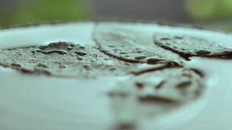 Natural leaves float on water and wash by droplets Stock Footage 229843612