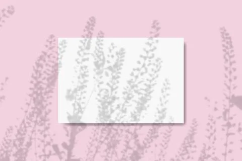 Natural light casts the shadow of field grass on a horizontal sheet of textured Stock Illustration