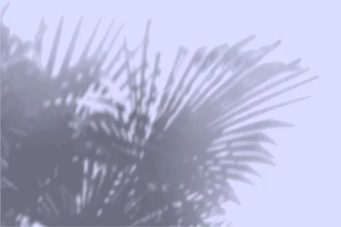 Natural light casts a shadow from the leaves of the tree on the violet wall Stock Illustration