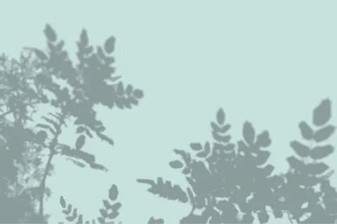 Natural light casts a shadow from the leaves of the tree on the blue wall Stock Illustration