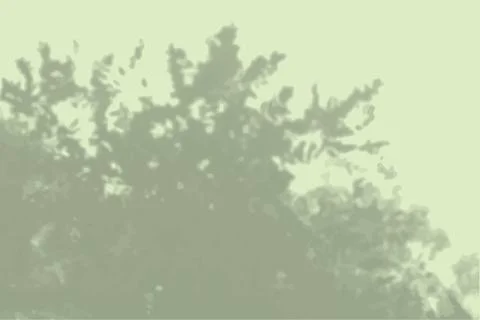 Natural light casts a shadow from the leaves of the tree on the green wall Stock Illustration