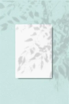 Natural light casts shadow from the leaves of a tree branch on vertical sheet of Stock Illustration