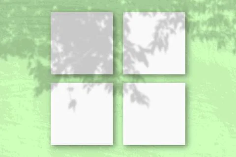 Natural light casts shadows from a branch of Apple on 4 square sheets of whit Stock Illustration