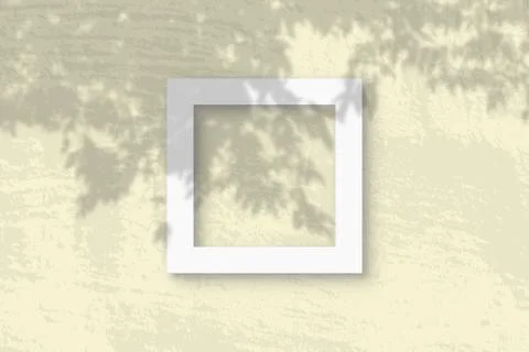 Natural light casts shadows from a branch of Apple on 3 square frame of white Stock-Illustration