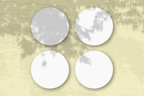 Natural light casts shadows from a branch of Apple on 4 round sheets of white Illustrazione stock