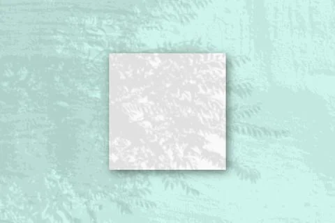 Natural light casts shadows from an exotic planton square sheet of white text Stock Illustration