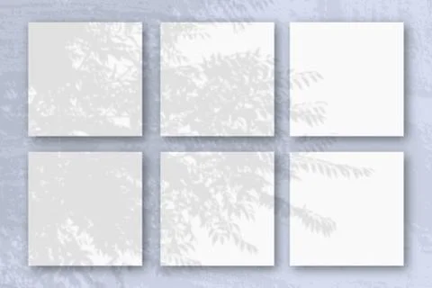 Natural light casts shadows from an exotic planton 6 square sheets of white t Stock Illustration