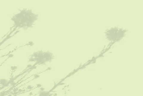 Natural light casts shadows from the field grass on a green sheet of paper Illustrazione stock