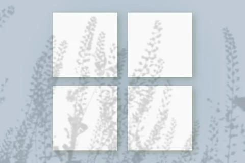 Natural light casts shadows from the field grass on 4 square sheets of white Stock Illustration