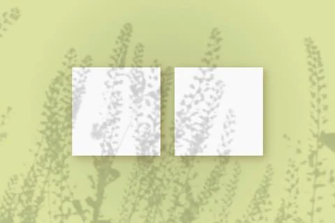 Natural light casts shadows from the field grass on 2 square sheets of white Stock Illustration