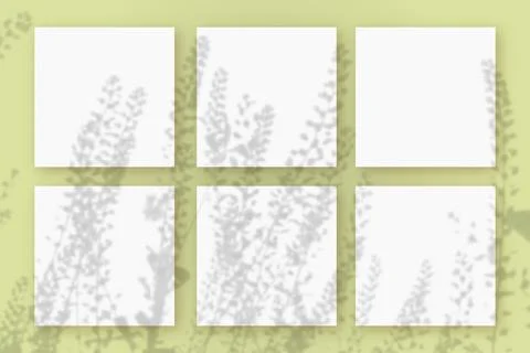 Natural light casts shadows from the field grass on 6 square sheets of white Stock Illustration