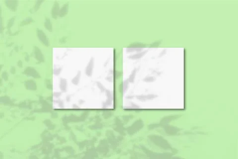 Natural light casts shadows from the foliage of a tree on 2 square sheets of Stock Illustration