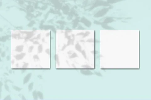 Natural light casts shadows from the foliage of a tree on 3 square sheets of Stock Illustration