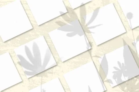 Natural light casts shadows from a Jerusalem artichoke flowers on several squ Stock Illustration